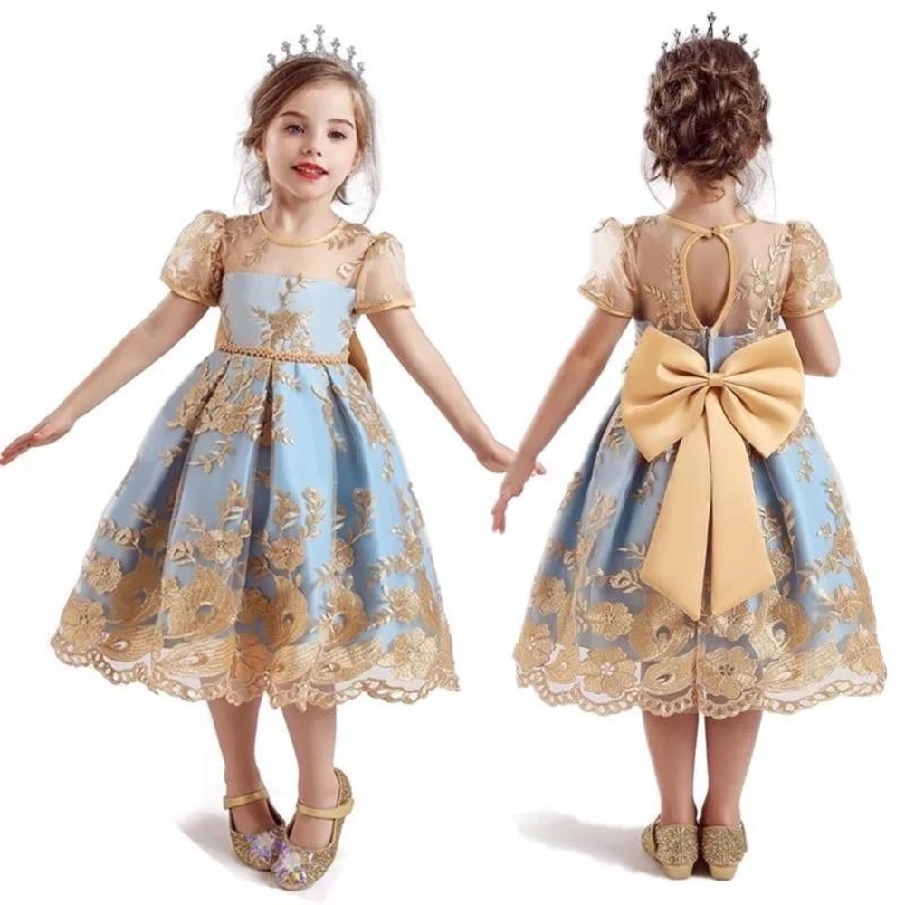 Elegant Lace Embroidery Girl's Dress